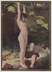 In the Woods