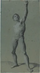 Male Nude Study