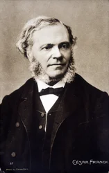 Portrait of César Franck, French composer and organist of Belgian origin (1822-1890)