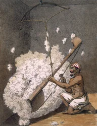 Carding Cotton