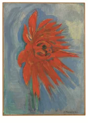 Red Chrysanthemum on Blue Background