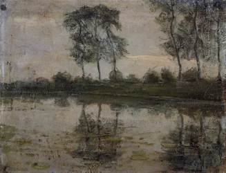 Trees by the River Gein