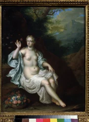 Flora
