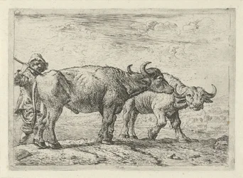 Two Buffaloes and a Shepherd (series title: Various Animals)
