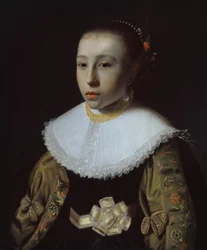 Portrait of a Young Girl