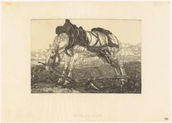 Resting Plow Horse