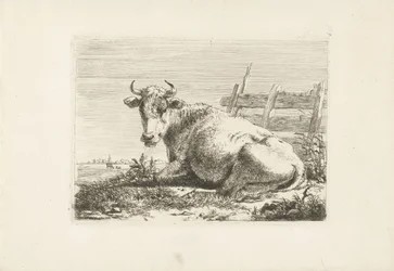Lying Cow by a Fence (Cows series)