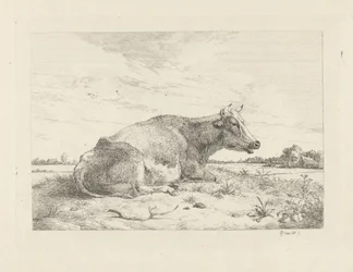 Lying Cow with Thistle