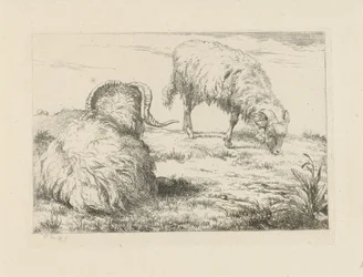 Two Rams in the Meadow (Sheep and Goats series)
