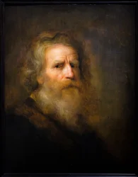Head of an old man