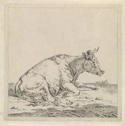 Lying Cow, Facing Right