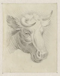 Head of a Cow