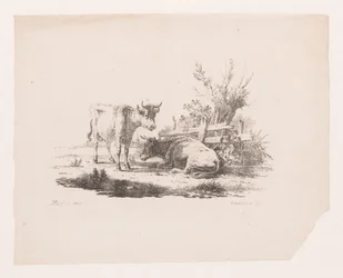 Two Cows by a Fence and a Pollard Willow