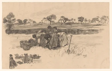 Working Women in the Field