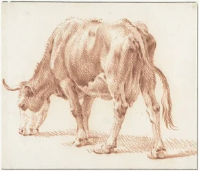 Grazing Cow, Facing Left