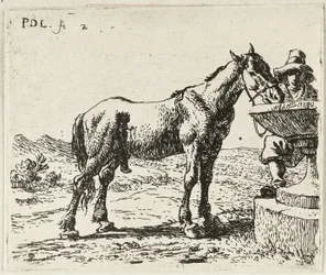 Drinking Horse