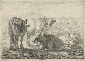 Three Cattle and a Sleeping Shepherd