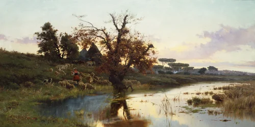 Flock at Sunset