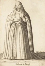 La Vedova ala Baronessa
