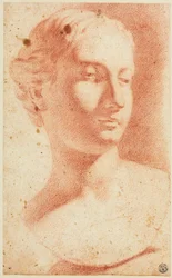 Female Bust