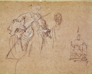 A Violinist