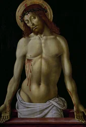 Christ in Pieta