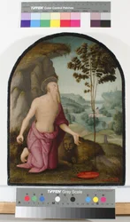 Saint Jerome in the Wilderness