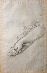Hands and arms, study for The Golden Acortonage fresco