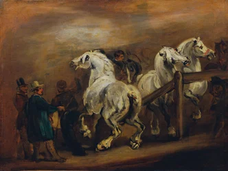 Horse Market