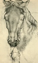 Head of a Horse, c1420-1455, 1943