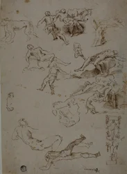 Sketches of Male Nudes, Animals, and Ornamental Details