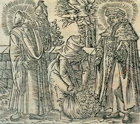 Collecting Herbs for Medicine
