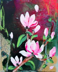 Pink Magnolia Blooms