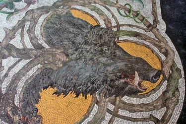 Floor Depicting a Wild Boar