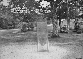 Rufus Stone, New Forest, c. 1896