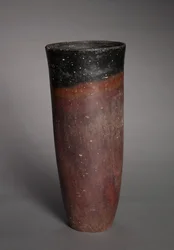 Black-Topped Beaker