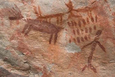 Cave Painting, Salmon-Challis National Forest