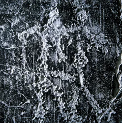 Mating scene. Prehistoric graffiti in the Camonica Valley, Foppe di Nardo