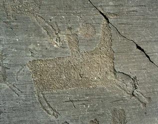 Prehistory, Camunni civilization, rock art: grave rock depicting a warrior on horseback with a shield. Period between the Neolithic and the Bronze Age. Capo di Ponte, Parco nazionale delle incisioni rupestri di Naquane, Valcamonica, Italy