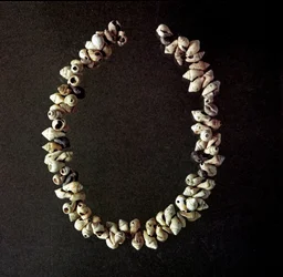 Prehistory, Stone Age: shell necklace from the cave of Polesine, Veneto. Middle Neolithic. Rome, Museo Nazionale Preistorico Etnografico Luigi Pigorini