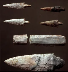 Arrow tips and flint from the necropolis of Cantalupo-Mandela, Lazio. Copper age. Eneolithic. 2200 BC. Museo Nazionale Preistorico Etnografico Luigi Pigorini, Rome