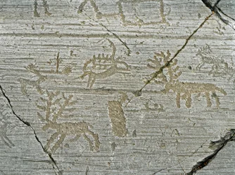 Prehistory, civilization of the Camunni, rock art: grave rock of the representation of deer. Period between the Neolithic and the Bronze Age. Rock. 1. Capo di Ponte, Parco nazionale delle incisioni rupestri di Naquane, Valcamonica, Val Camonica, Italy