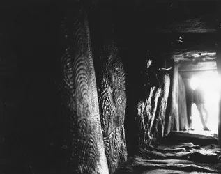 Prehistory: engraved stones of Gavrini or tumulus of Gavrini - Morbihan