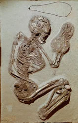 Prehistory: Female Skeleton from the Upper Neolithic