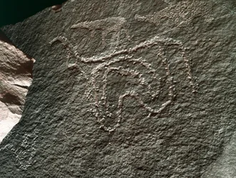 Rock Art: Representation of Cattle. Tazina Style (5000-2000 BC). Taghit, Haut Plateau du Hoggar, Algeria