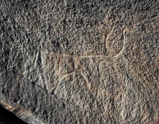 Rock Art: Representation of a Cattle