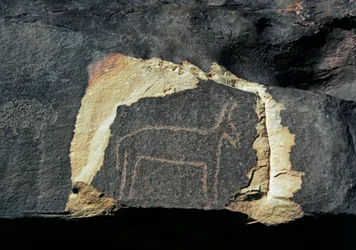 Prehistory, rock art: grave rock of the representation of an antelope. Stone Age 5000-2000 BC