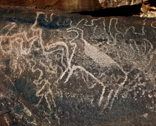 Rock art: grave rock of the representation of cattle (Tazina style, Stone Age 5000-2000 BC)