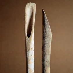 Prehistory: Tools to Remove Bark from Shin Bones of Goat and Sheep from the Necropolis of Arene Candide