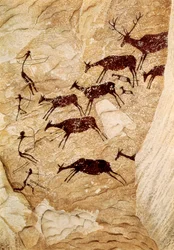 Unknown Image